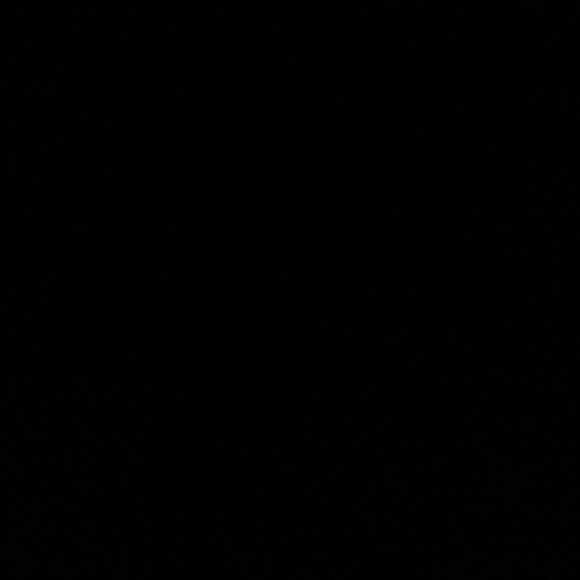 Meet your Posher, Josefina - Picture 1 of 1